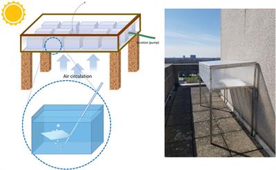 Not Only Diamonds Are Forever: Degradation of <mark class="highlighted">Plastic Films</mark> in a Simulated Marine Environment